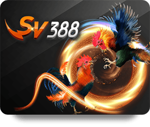 Blackjack trực tuyến: So sánh các biến thể và quy tắc chơi